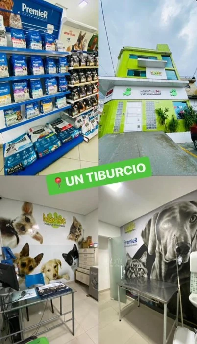 Estrutura da Max Vet Hospital Veterinário