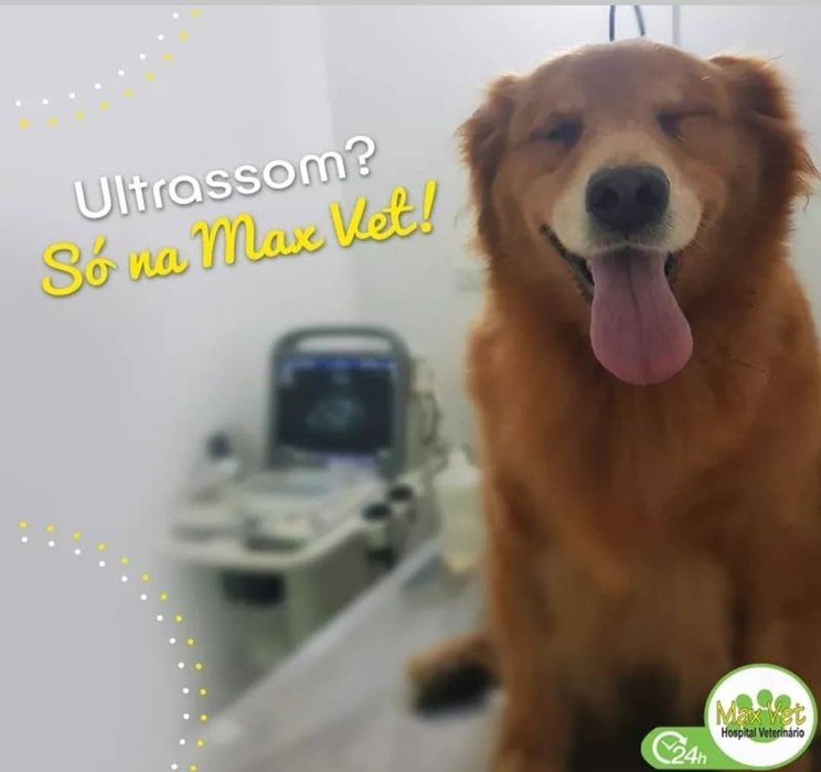 Ultrassom veterinário Max Vet